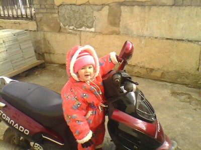 picture_00081.jpg