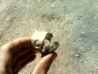 IMG0537A.jpg
