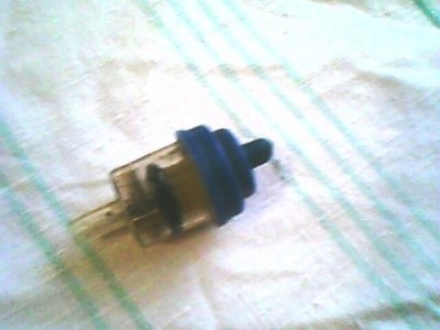 IMG0077A.jpg