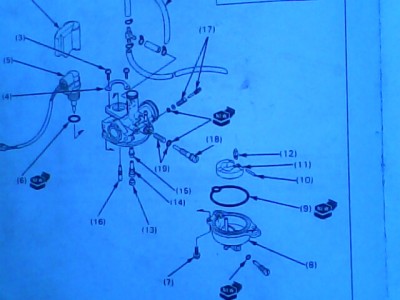 IMG0163A.jpg