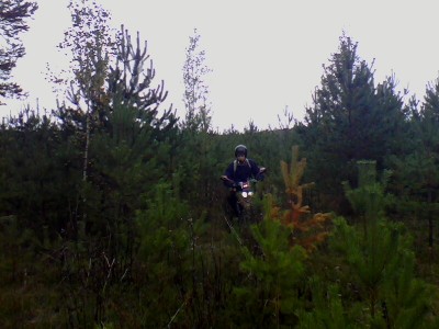 picture_00288.jpg