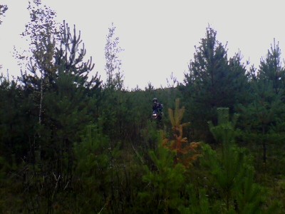 picture_00287.jpg