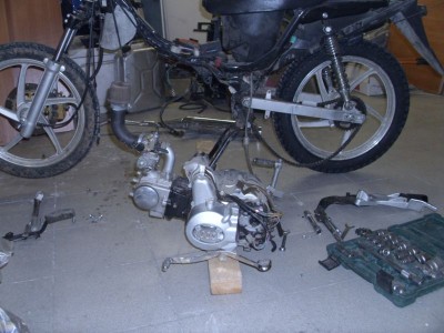 DSCI0048.JPG