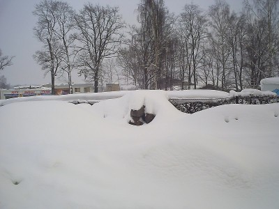 PICT0164.jpg