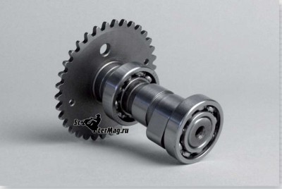 распред-BGMx5_enlzn_enl.jpg
