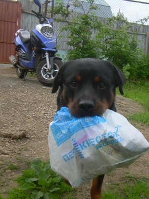 DSCN2225.JPG