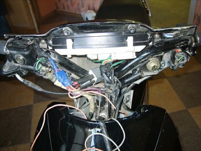 S8309228.jpg