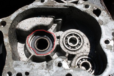 y_5610c806.jpg