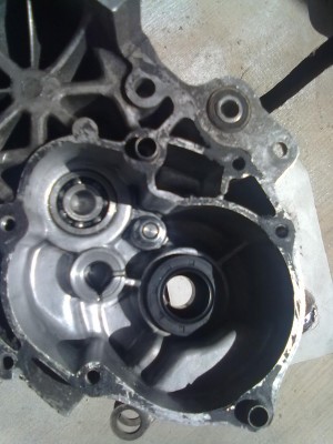 10062011788.jpg