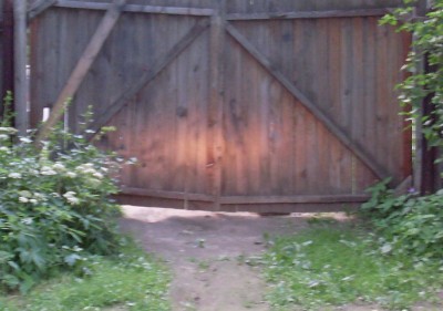 lamp1.jpg