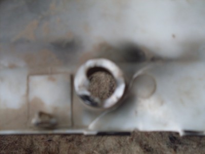 SDC11084.JPG