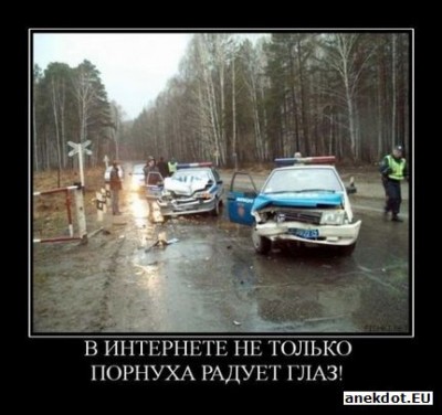 радует глаз.jpg