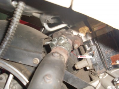 SL378590.JPG