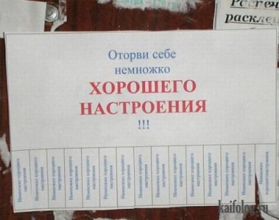 1311699196_097.jpg