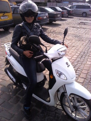 IMG_20110825.jpg