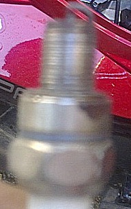 y_78626d7c.jpg