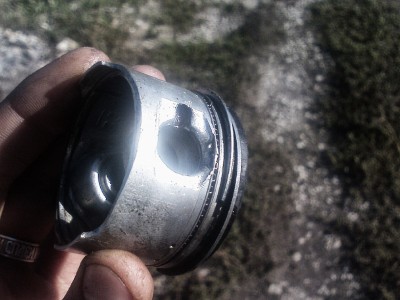 PICT0203.JPG