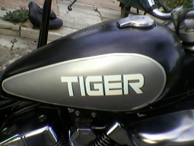SP_A0410.jpg