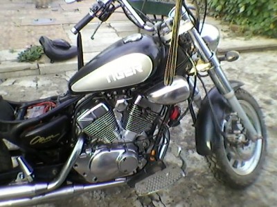 SP_A0406.jpg