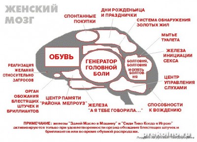1281524454_065.jpg
