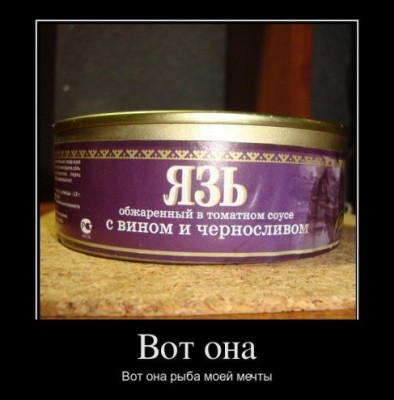 1321876833_1321623446_1demotivatory-fishki.net.jpg
