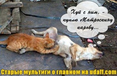 матроскин.jpg