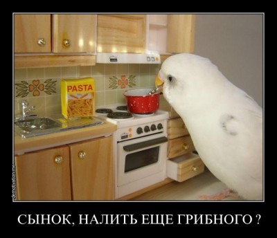 xzhipjvbdjhe.jpg