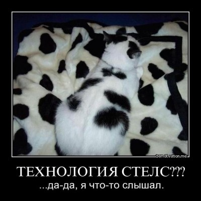 i9fu4tk2fl6g.jpg
