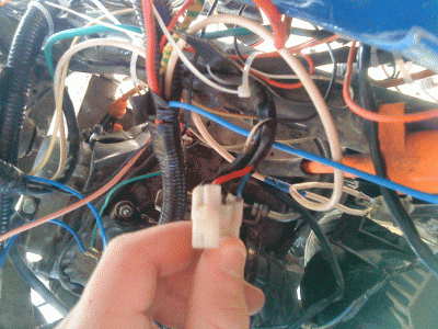DSC00664.gif