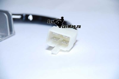 DSC_9631_enl.jpg