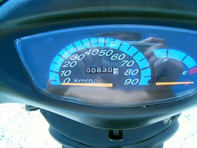 5495we7.jpg