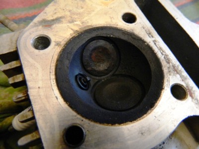 DSCN0621.JPG