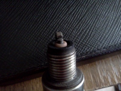 IMG20120520_002.jpg