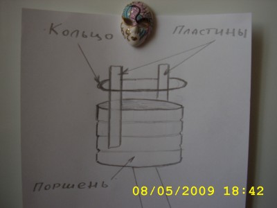 446.jpg