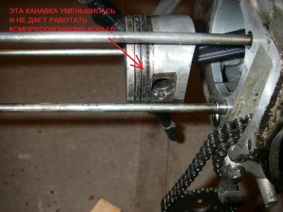 IMGP0784.JPG