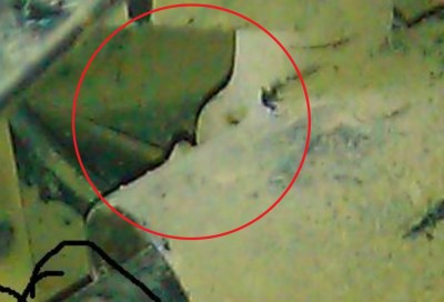 Image 6.jpg