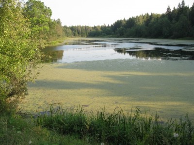 IMG_1655.jpg