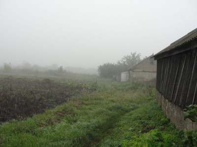 DSC07518.jpg