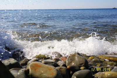 Desktop_001.jpg