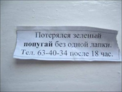 obyavleniya-61.jpg