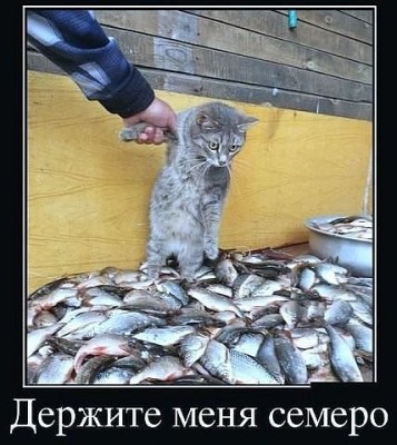 AyLPMfsAY7g.jpg