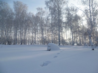 P1030155.JPG