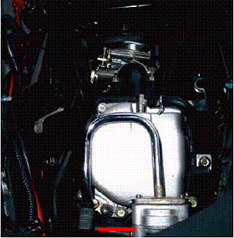 krishka_gol.gif