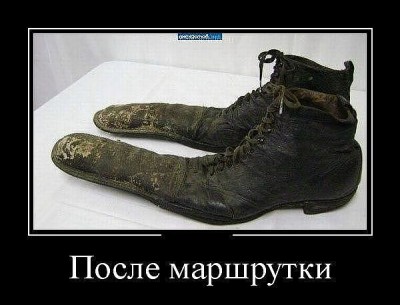 ovlak16.jpg