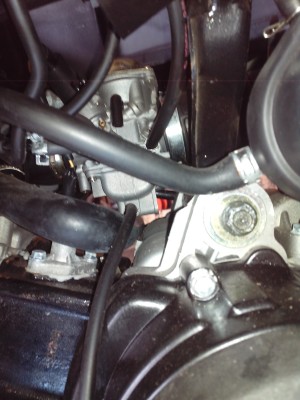 IMG_20130406_180453.jpg