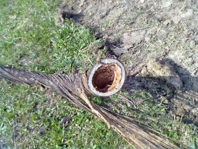 210420131028.jpg