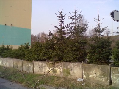 210420131032.jpg