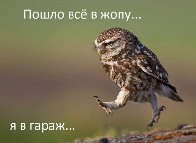 vpisfT40P8U.jpg