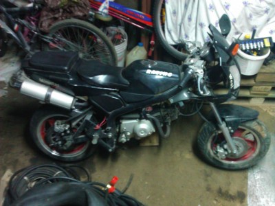 WP_000518.jpg