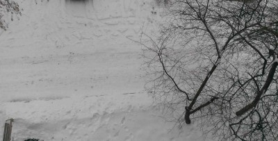 IMAG0121.jpg